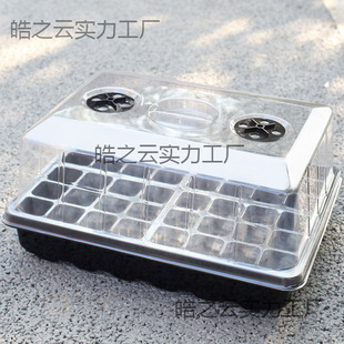 ��ͥ�@ˇ�������̖���w24��48��Ѩ�P����Ǥ��ֲ�ﲥ�N���琞�B��