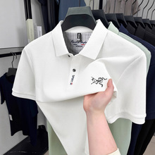 ����}�ۿۡ��¿����t���д̽�����polo�����e���I�w���³�