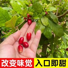 ��Դ�^���ء����ع�����޽��ϱ����Nֲ׃ζ�������Ե����ļ��Y��