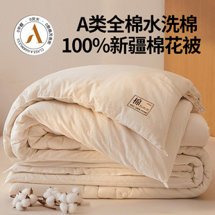 100% Cotton Quilt Xinjiang Cotton Quilt Class a Inside and Outside Cotton Antibacterial Winter Quilt Thickeneded Spring & Fall Quilt Core Package Test Quilt
