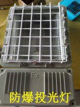 一体式防爆泛光灯250W400W灯防爆金卤灯工地照明防爆灯防爆投光灯