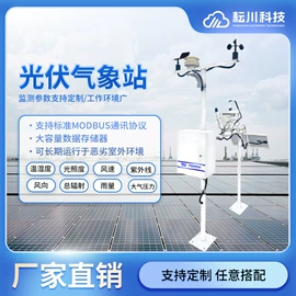 其他仪器仪表;自动气象站;风速风向仪