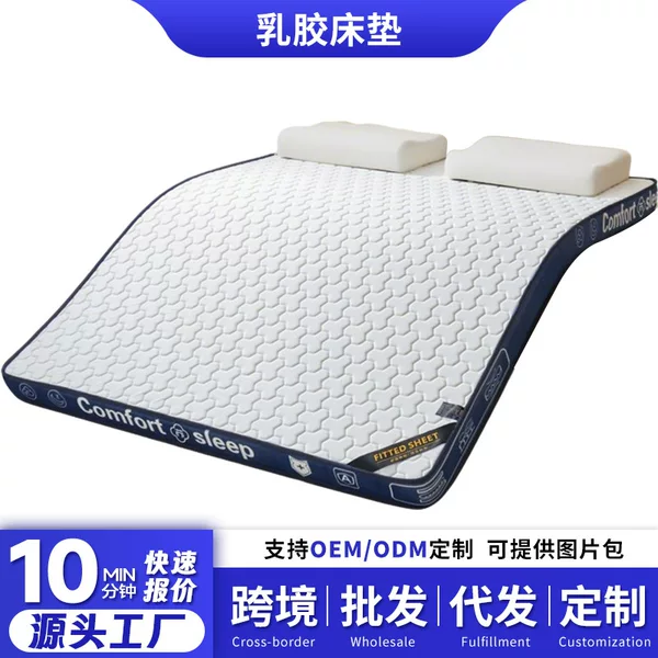 Thickened Latex Mattress Student Dormitory Breathable Hard Cotton Pad Single and Double Home Bedroom Foldable Mattress Pad