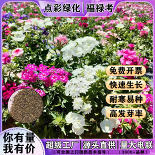 �t���������N�������׷N�ر�ֲ�ﻨ����ɫ÷�̨�҃��^�p��ͥԺ��