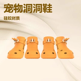 宠物鞋靴;口腔护理套装;牙刷架