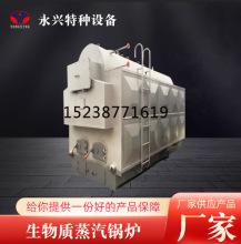 燃煤蒸汽鍋爐熱水鍋爐小區供暖廠房供暖 生物質蒸汽鍋爐廠家直銷