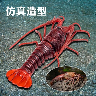 �����b��С���r���l����ӌ������ģ�̓�ͯ���M�����ߘ���