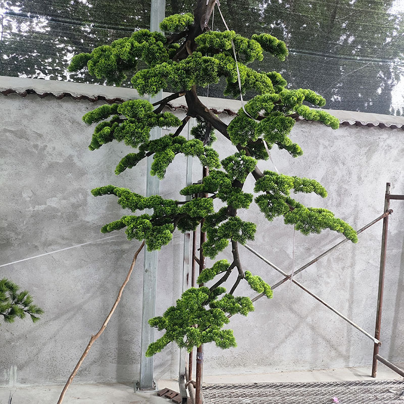 仿真吊挂松树假迎客松壁挂装饰新中式办公室酒店吊顶大型悬挂摆件