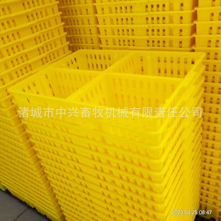 塑料加固鸡苗用周转筐通风透气小鸡分栏育雏箱塑料鸡苗运输笼价格