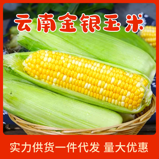 ���ˮ�����y�������r�����pɫ�����װ��Ӱ����׬FժŴ���]�r�߲�