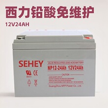 NP12-24SEHEY����12V24AH�U����S�o�x�W��׃EPS�C���������늳�