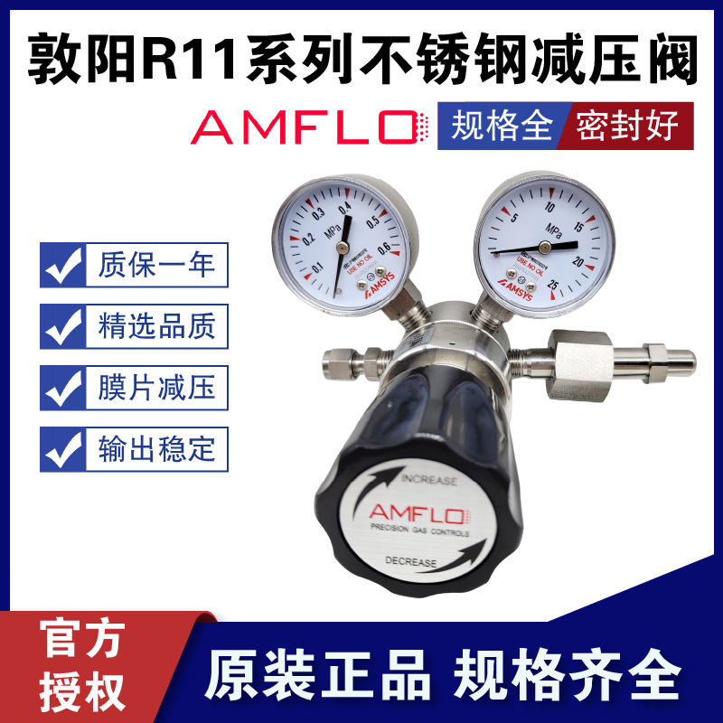 敦阳R11LB-DKP-11-11单表小流量不锈钢减压阀氮气减压器amflo高压