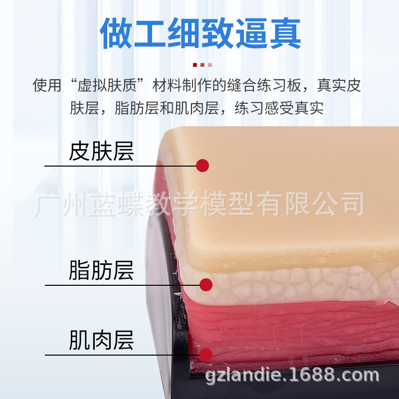 �����Ƥ�����ģ�� ��㼡���п����ѵ��ģ�� ����п������ϰ