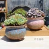 2 pieces of group pots