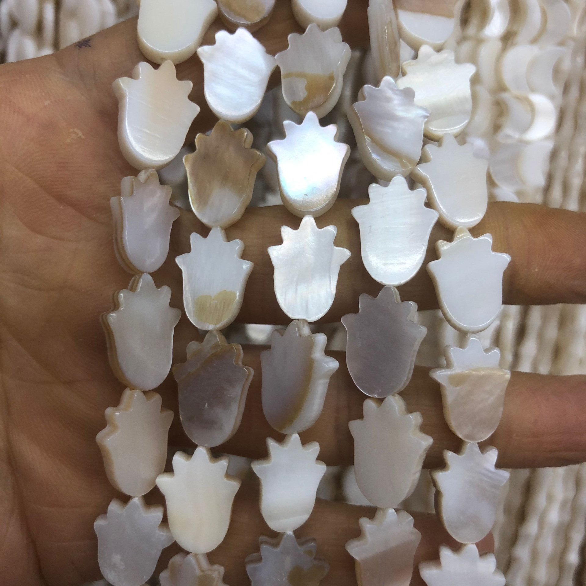 淡水贝:五指手掌-1_旋转