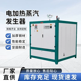 蒸汽发生器;燃生物质锅炉;燃油锅炉