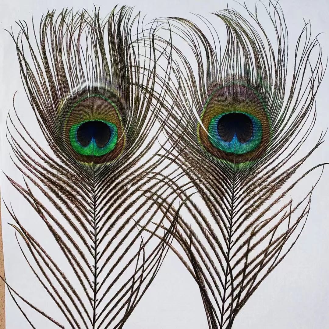 Spot al por mayor lana natural 25-30CM decoración de joyas adornos de plumas de bricolaje tocado de plumas de pavo real terciopelo