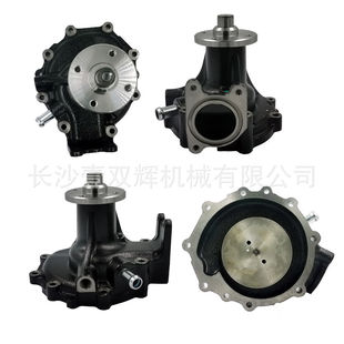 Oem 16100-E0333; 16100-E0281 Water Pump Water Pump