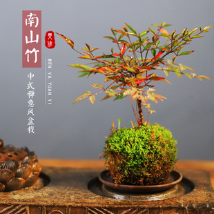 ˮ������������҃��������Կ͏d�����՚�̦�\���^�~�Gֲ����辰