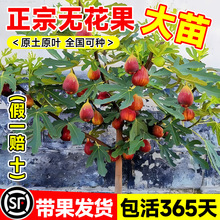 �o��������玧�����Ԙ��粨���t�ش���ϱ����ļ����R˹�����ͺ�