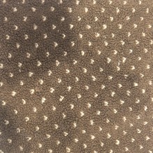 现货提花羊羔绒 580g小爱心羊羔毛绒布料服装鞋帽玩具鞋材类面料