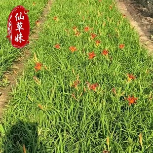 �t������^�p�����ݻ������lС�^�G�����^�p����� ���������