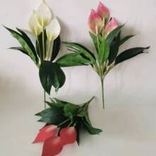 ������Ƽt������һ���L혷���Gֲ�ٻ��������Ի��ܼپGֲ����