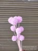 [Single windmill fruit] eternal flower pine and fruit, Yunnan Zhenganhua manufacturer wholesale flower material bouquet