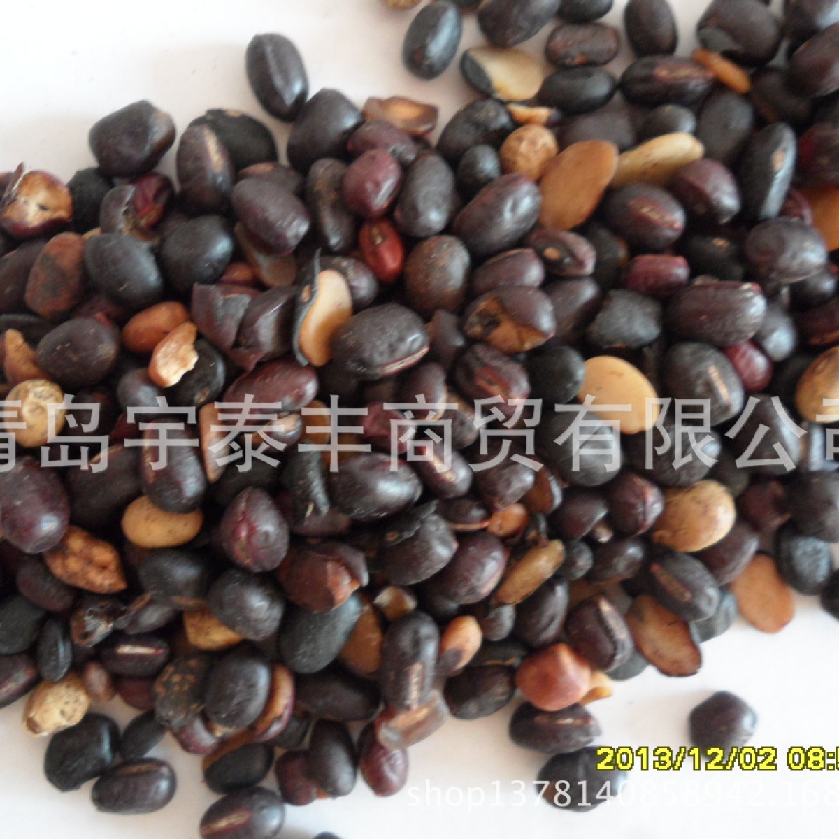 熟黑豆(蛋白原料)黄豆大豆碎豆