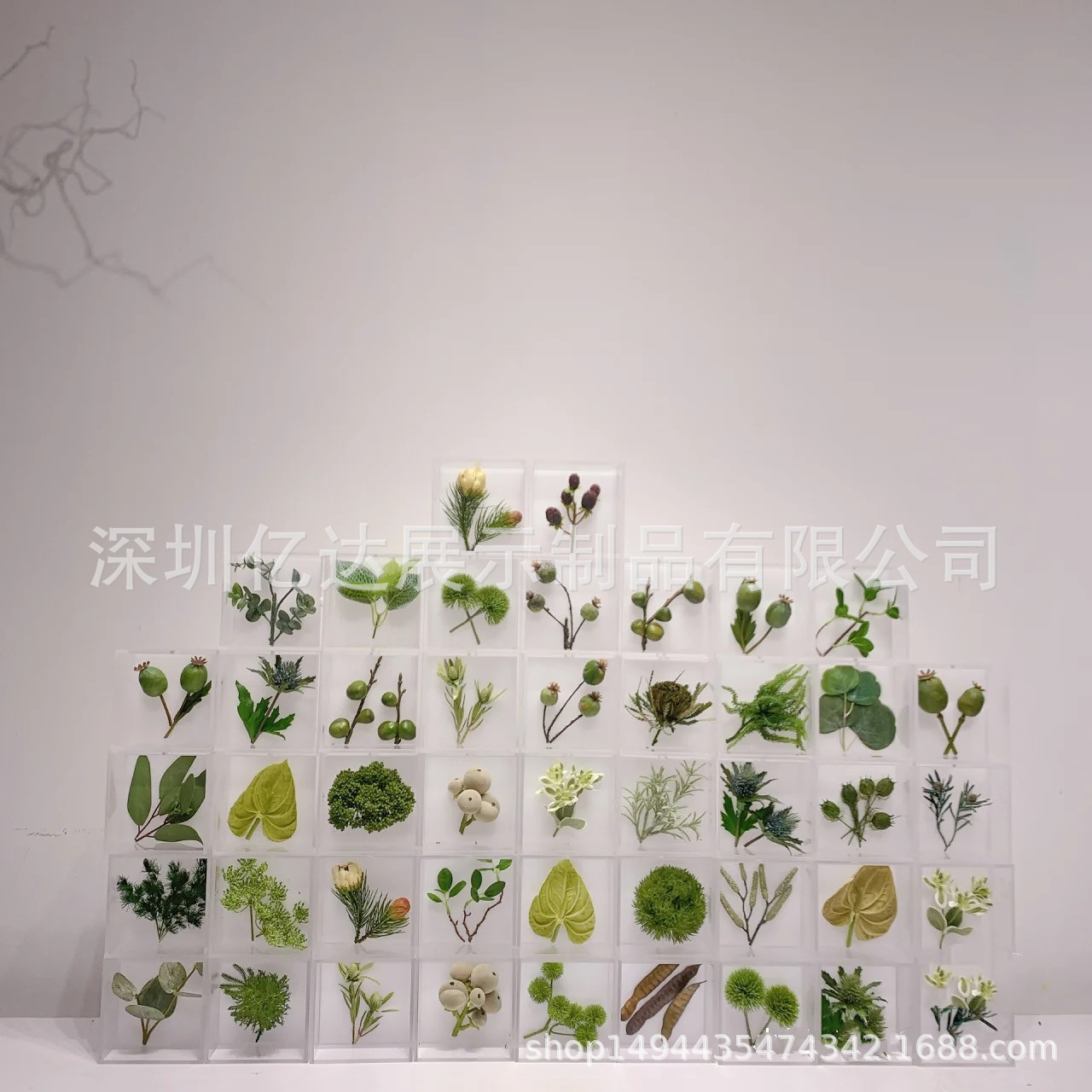 亚克力艺术花艺药材展示装饰标识样品展示陈列装置标本盒双面透明