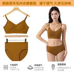 新しいメリノウールの女性用スリングブラとパンティー、速乾性、吸湿性、汗をかき、臭いがなく、アウトドアサイクリングや旅行に最適です。