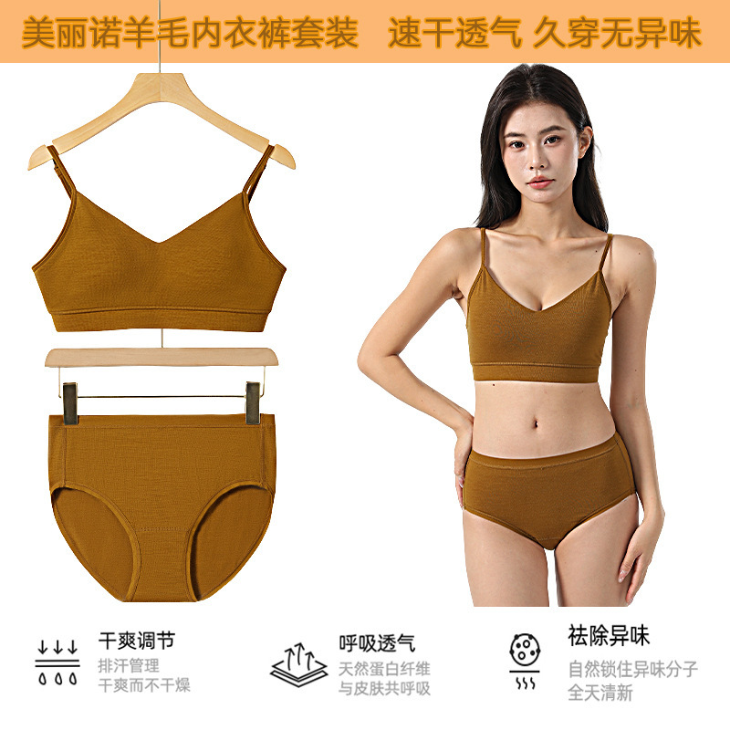 New Merino Wool Women's Suspender Bra and Panties, Quick-Drying, Moisture-Wicking, Odor-Free, Outdoor Cycling and Travel