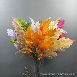 ���滨��ȸ�Ɇ�֦�Ҿ��b�Y�õ��ű����bGֲ��������쾰