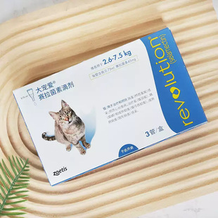 �󌙐���xș �T�v�w������x�΄���؈��؈��xș؈��x15mg/45mg