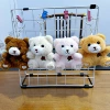 Rose Bear (single price}