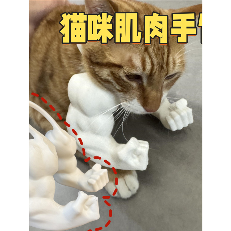 猫咪肌肉手臂搞笑肌肉猫装饰挂脖肌肉手臂3d打印玩具恶搞宠物道具