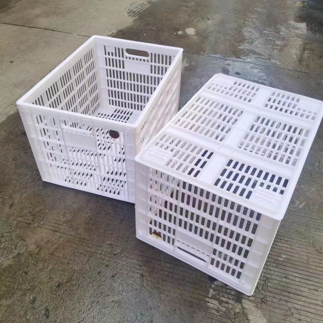 厂家直供广州惠州pp塑胶周转箩水果蔬菜筐食品周转箩现货