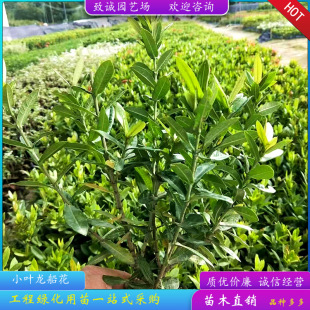 С�~�����������������G������ͥԺ���Լ����Դ����F؛����