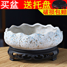 ⻨ڏ؃r}бPsմɄֲﻨ̖l