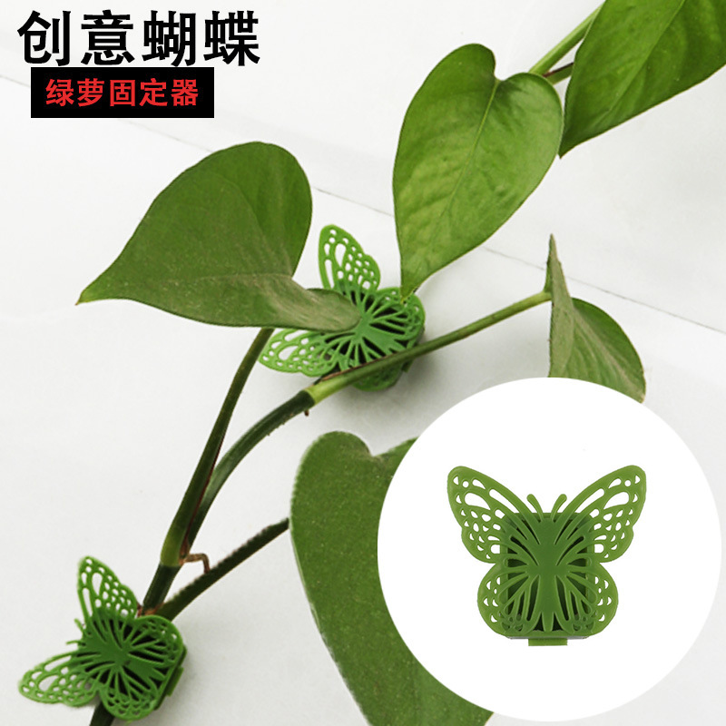 New Butterfly Pothos Holder Creative Traceless Household Pothos Wall Climbing Artifact Plant Vine Organizer Wholesale