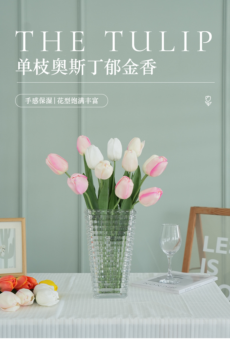 单枝奥斯丁郁金香（大号）_01.jpg