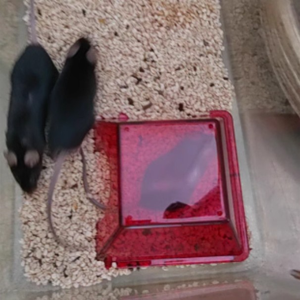 2025-03-12 17:23:53.jpg