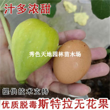 �o��������˹�����o�����R�ͺ�����ͥԺ�ϱ����Nֲ����Y��������