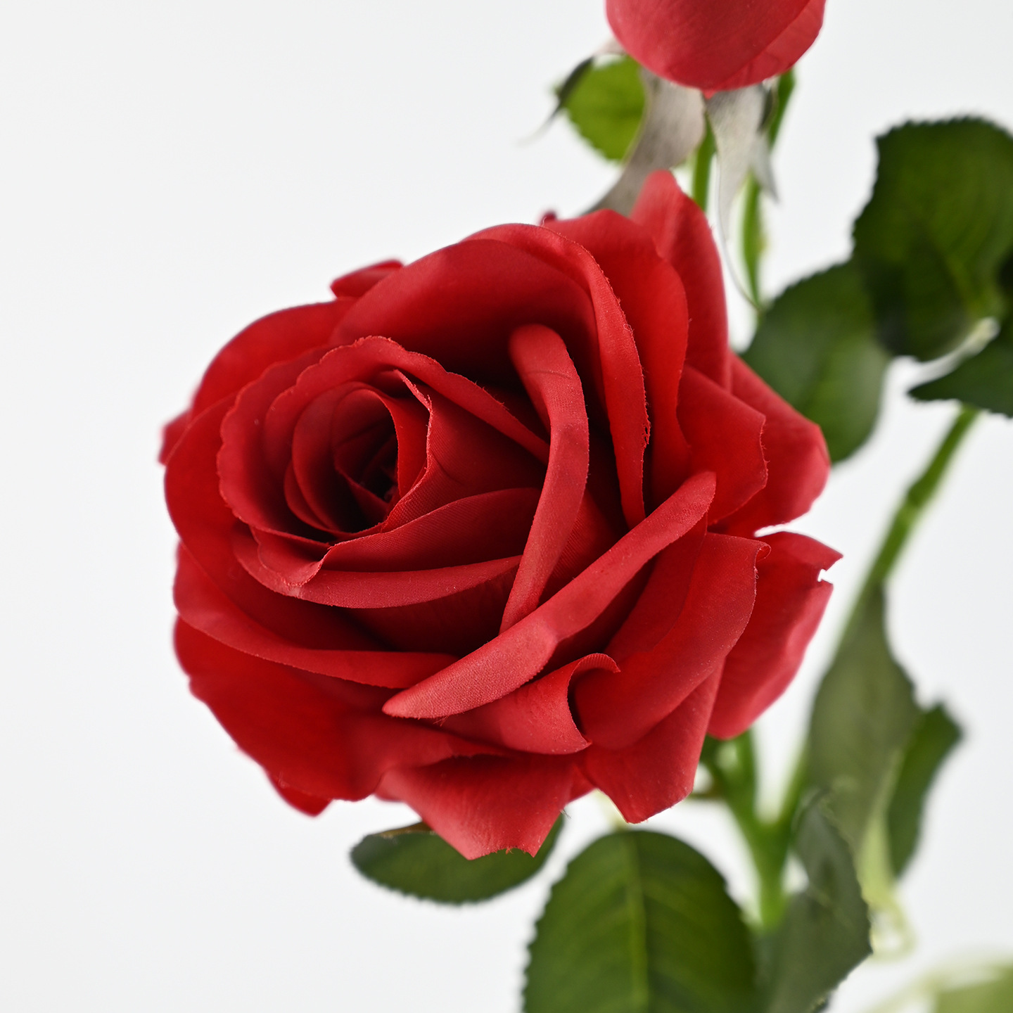 Hand-feeling and moisturizing simulated rose concubine rose…
