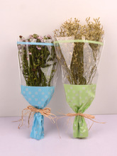 ��֧�r�����b��͸���������b�� �������϶�֦õ�������״�