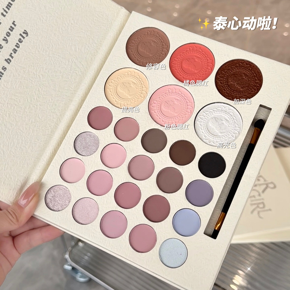 ErshiQi 26 Color Super Female Eyeshadow Plate Pearlescent Matte Highlight Blush Eyeshadow One-piece Plate