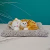 Mother and child model (can bark + plush mat) ~ limited time special offer, grab it now