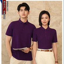 �ļ�����޹��bt������LOGO܇�g�����ź�������POLO��4S�깤��