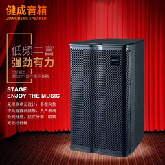 クロスボーダー専用シングル 12inch エンターテイメント KTV バーパーティーオーディオハイパワー屋外ステージパフォーマンスパッシブスピーカー