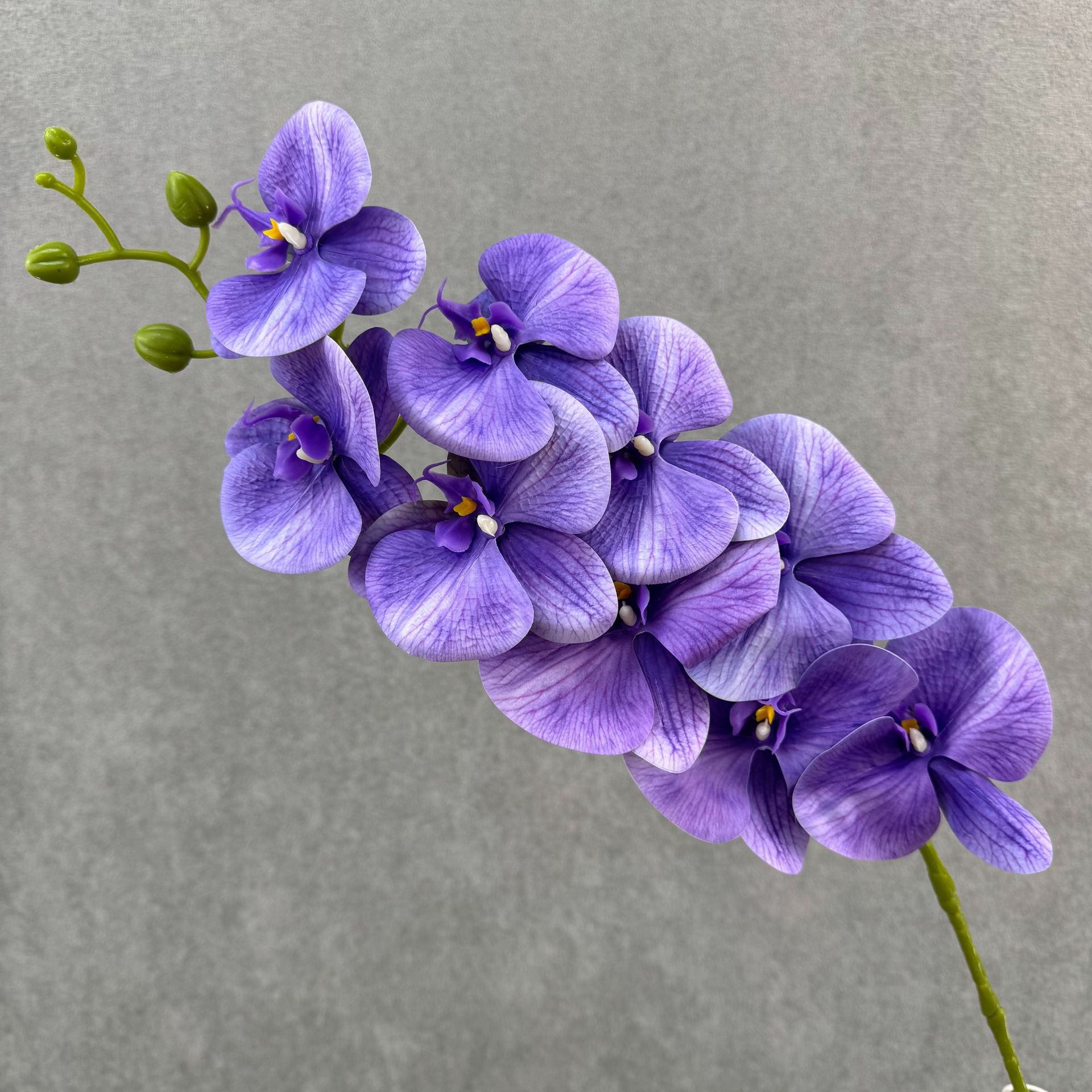 Orange stalk purple
